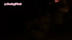 Cherry Blossom Flower String Lights For Girl Bedroom, Pink Fairy Lights 13 Feet 40 LEDs USB And Battery Operated Decorative String Lights Indoor Outdoor (1 Pack) -Department 56 Shop 31UbevZkf8L