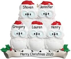 Personalized Christmas Ornaments For Couples - Couples Ornament 2022 - White Owl Couple Ornaments For Christmas Tree Family Of 2 Christmas Ornaments For Couples - Free Customization 21 Personalized Christmas Ornaments For Couples - Couples Ornament 2022 - White Owl Couple Ornaments For Christmas Tree Family Of 2 Christmas Ornaments For Couples - Free Customization -Department 56 Shop 414LUqsmQDL. AC