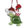 Personalized Christmas Ornament Turtle In Santa Hat Hanging Christmas Tree Ornament - 3.75 Inches -Department 56 Shop 415UJNtemzL