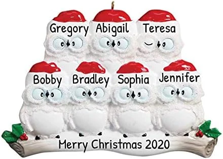Personalized Christmas Ornaments For Couples - Couples Ornament 2022 - White Owl Couple Ornaments For Christmas Tree Family Of 2 Christmas Ornaments For Couples - Free Customization 11 Personalized Christmas Ornaments For Couples - Couples Ornament 2022 - White Owl Couple Ornaments For Christmas Tree Family Of 2 Christmas Ornaments For Couples - Free Customization - Image 11