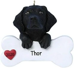 Personalized Pet Ornaments 2022 - Custom Dog Ornament 2022 - Dog Christmas Ornaments Labradoodle Ornament Dog Ornaments For Christmas Tree Bone Ornament - Free Customization -Department 56 Shop 417rD1L30IL. AC