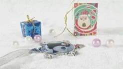 Fashion Image Snowflake Ornaments Silver 2.9"X2.6"X0.3"inches Home Decoration Christmas Tree Hanging Ornaments (Lovely-Penguin) -Department 56 Shop 418nAr4li5L