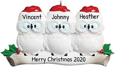 Personalized Christmas Ornaments For Couples - Couples Ornament 2022 - White Owl Couple Ornaments For Christmas Tree Family Of 2 Christmas Ornaments For Couples - Free Customization 7 Personalized Christmas Ornaments For Couples - Couples Ornament 2022 - White Owl Couple Ornaments For Christmas Tree Family Of 2 Christmas Ornaments For Couples - Free Customization - Image 7
