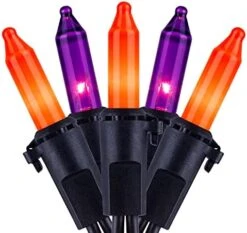 YULETIME Orange String Lights With Black Wire, 66 Feet 200 Count UL Certified Christmas Light, Pack Of 2 Sets 33 Ft 100 Amber Mini Light Set For Halloween Thanksgiving Holidays (Orange) -Department 56 Shop 41Fu0KYAVXS. AC