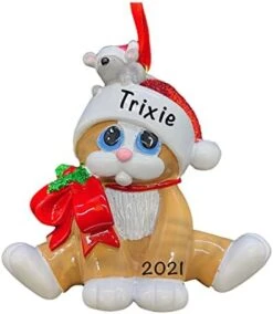Personalized Orange Tabby Cat Ornaments For Christmas Tree - Polyresin Orange Tabby Cat Ornament - Cutest Orange Tabby Cat Gifts For Cat Lovers - Charming Unique Cats First Christmas Ornament 2022 -Department 56 Shop 41JnmW0KVrL. AC