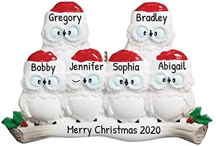Personalized Christmas Ornaments For Couples - Couples Ornament 2022 - White Owl Couple Ornaments For Christmas Tree Family Of 2 Christmas Ornaments For Couples - Free Customization 10 Personalized Christmas Ornaments For Couples - Couples Ornament 2022 - White Owl Couple Ornaments For Christmas Tree Family Of 2 Christmas Ornaments For Couples - Free Customization - Image 10