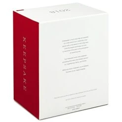 Hallmark Keepsake Christmas Ornament 2018 Year Dated, Star Trek "The Naked Time -Department 56 Shop 41Livl9nsyL