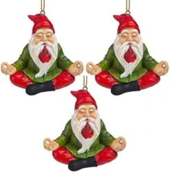 Christmas Ornament - Garden Gnomes Figurine - Loonie Moonie Gnome - Naughty Gnomes - Mooning Gnomes Statues -Department 56 Shop 41P1dU1tBdL. AC