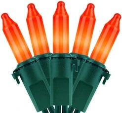 YULETIME Orange String Lights With Green Wire, 66 Feet 200 Count UL Certified Christmas Light, Pack Of 2 Sets 33 Ft 100 Opaque Mini Light Set For Halloween Thanksgiving Holidays (Orange) 27 YULETIME Orange String Lights With Green Wire, 66 Feet 200 Count UL Certified Christmas Light, Pack Of 2 Sets 33 Ft 100 Opaque Mini Light Set For Halloween Thanksgiving Holidays (Orange) -Department 56 Shop 41RMz7KFmjS. AC