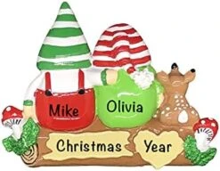 Personalized Christmas Ornaments Family Of 4 – Polyresin Gnomes Family Ornament – Unique Family Christmas Ornaments 2022 – Gifts For Mom, Dad, Kids, Grandma, Grandpa – Durable Family Décor -Department 56 Shop 41YfrpbKMZL. AC