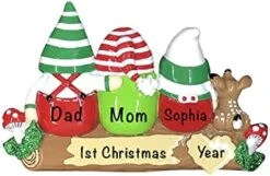 Personalized Christmas Ornaments Family Of 4 – Polyresin Gnomes Family Ornament – Unique Family Christmas Ornaments 2022 – Gifts For Mom, Dad, Kids, Grandma, Grandpa – Durable Family Décor -Department 56 Shop 41d1s2BEtWL. AC