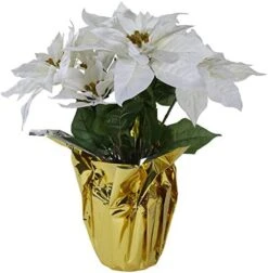 Northlight 32" Iced Mixed Pine Berries And Pine Cones Christmas Pillar Candle Holder -Department 56 Shop 41hyxPWL2SL. AC