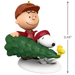 Hallmark Keepsake Christmas Ornament 2020, The Peanuts Gang Charlie Brown, Snoopy And Woodstock The Perfect Tree (1999QXI2791) -Department 56 Shop 41jRKb5AKTL