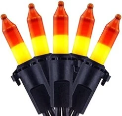 YULETIME Orange String Lights With Black Wire, 66 Feet 200 Count UL Certified Christmas Light, Pack Of 2 Sets 33 Ft 100 Amber Mini Light Set For Halloween Thanksgiving Holidays (Orange) -Department 56 Shop 41jt1mqbaS. AC