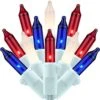SWEET SHINE Red White And Blue Christmas Lights, 200 Lights 66 Ft White Wire, Pack Of 2 Strands 100 Count UL Listed Patriotic String Light (Red, White Frost & Blue) -Department 56 Shop 41kGNLFGkrL