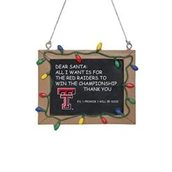 Foco NCAA College Team Logo Soft Lazy Day Robe