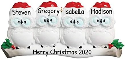 Personalized Christmas Ornaments For Couples - Couples Ornament 2022 - White Owl Couple Ornaments For Christmas Tree Family Of 2 Christmas Ornaments For Couples - Free Customization 8 Personalized Christmas Ornaments For Couples - Couples Ornament 2022 - White Owl Couple Ornaments For Christmas Tree Family Of 2 Christmas Ornaments For Couples - Free Customization - Image 8