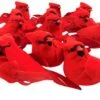 Cardinal Decor Bulk Pack Of Realistic Felt Clip On Cardinals With Feathers And Clips For Crafts Or Decorating, 12 Pack -Department 56 Shop 41ow4TDXj5L