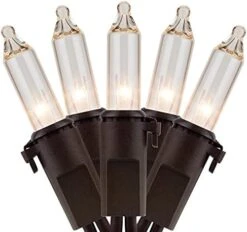 YULETIME Clear Christmas Lights With Brown Wire, 66 Feet 200 Count UL Certified String Lights, Pack Of 2 Sets 33 Ft 100 Count Incandescent Mini Light Set (Clear - Brown Wire) -Department 56 Shop 41pnm3yBJoS. AC