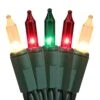 Christmas String Lights - 24ft 100 Incandescent Multi Color Mini Bulbs Lights,Green&White&Red Lighting Decor For Outdoor&Indoor Use, Fairy Garden, Yard, Home, Party, Holiday, Halloween Decoration -Department 56 Shop 41tcLVzqa9L