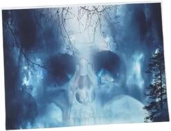 Yardwe 2pcs Skull Hanging Door Curtain Halloween Outdoor Decorations Outdoor Sign Wall Hooks Decorative Hanging Banner Ornament Porch Sign For Halloween Front Door Porch Cover Indoor 3d -Department 56 Shop 41vSM 21o1L. AC