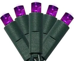 50 Count 5MM Wide Angle Led Christmas Lights Set,Outdoor Led String Lights For Garden Patio Christmas Trees Decoration,17 Feet Green Wire,Warm White 24 50 Count 5MM Wide Angle Led Christmas Lights Set,Outdoor Led String Lights For Garden Patio Christmas Trees Decoration,17 Feet Green Wire,Warm White -Department 56 Shop 41w6m0760lL. AC