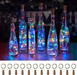 Wine Bottle Lights With Cork, 10 Pack 20 LED Waterproof Battery Operated Cork Lights, Silver Wire Mini Fairy Lights For Liquor Bottles DIY Party Bar Christmas Holiday Wedding Déco -Department 56 Shop 51 VWjc23HS. AC