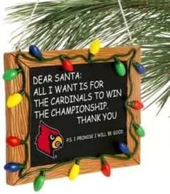 Foco NCAA College Team Logo Soft Lazy Day Robe -Department 56 Shop 512G8EoPAHL. AC