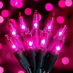 Hopolon Clear Christmas Lights Set 2PACK 50Count 13Feet Incandescent Bulb Mini String Lights For Indoor Christmas Tree Garland Birthday Wedding Festival Decor, Warm White 20 Hopolon Clear Christmas Lights Set 2PACK 50Count 13Feet Incandescent Bulb Mini String Lights For Indoor Christmas Tree Garland Birthday Wedding Festival Decor, Warm White -Department 56 Shop 513kRakhggL. AC