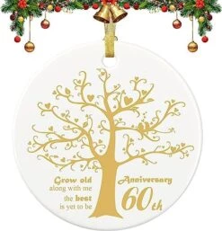25 Years Anniversary Ornament, 2023 Christmas Hanging Ornament, 25th Years Couple Gifts For Wedding Anniversary, 25thHusband&Wife Married Decoration, 2023 Couple Christmas Ceramic Ornament With Ribbon -Department 56 Shop 515H1zocI0L. AC