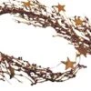 CWI Gifts Country Mix 40" Pip Berry & Star Garland, W/Flat Stars -Department 56 Shop 5192HkvvtjL