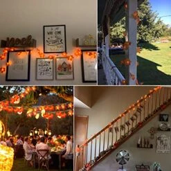 Christmas Lights, 20 Ft 40 LED Fall Leaves Garland With Lights, Waterproof Fall Lights Battery Operated With 8 Modes For Party Indoor Outdoor Thanksgiving Christmas Decorations Fall Decor -Department 56 Shop 51CsvpnEHwL
