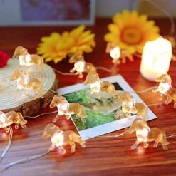 Horse Fairy String Lights Cute Pony Decorative Lights 20 Leds Night Light 8.5ft Battery Operated With Remote For Bedroom Farmhouse Home Holiday Thanksgiving Decoration -Department 56 Shop 51DXega2a9S