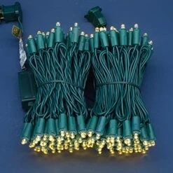 SWEET SHINE Warm White LED Christmas Lights With Green Wire, 66 Feet 200 Count UL Certified Commercial Grade 5mm LED Holiday String Light Set (Warm White) -Department 56 Shop 51FdDB7AnKS