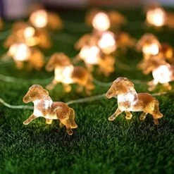 Horse Fairy String Lights Cute Pony Decorative Lights 20 Leds Night Light 8.5ft Battery Operated With Remote For Bedroom Farmhouse Home Holiday Thanksgiving Decoration -Department 56 Shop 51GEiPg3v4S. AC