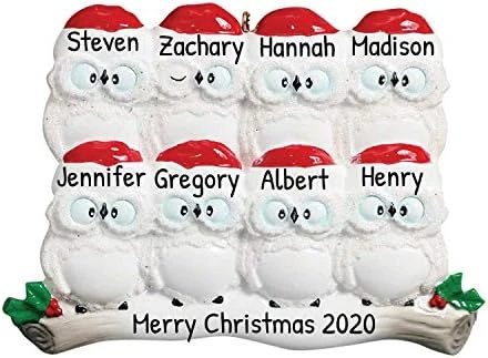 Personalized Christmas Ornaments For Couples - Couples Ornament 2022 - White Owl Couple Ornaments For Christmas Tree Family Of 2 Christmas Ornaments For Couples - Free Customization 12 Personalized Christmas Ornaments For Couples - Couples Ornament 2022 - White Owl Couple Ornaments For Christmas Tree Family Of 2 Christmas Ornaments For Couples - Free Customization - Image 12