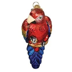Old World Christmas Ornaments: Bird Watcher Collection Glass Blown Ornaments For Christmas Tree, Parrot -Department 56 Shop 51IhROPWGOL