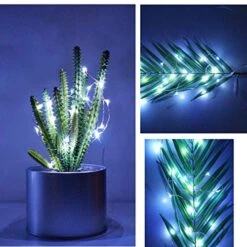 24 Pack Fairy Lights Battery Operated 6.6ft 20 Led Mini String Lights Silver Wire Starry Lights For DIY Wedding Party Festival Halloween Christmas (Cool White) 19 24 Pack Fairy Lights Battery Operated 6.6ft 20 Led Mini String Lights Silver Wire Starry Lights For DIY Wedding Party Festival Halloween Christmas (Cool White) -Department 56 Shop 51J5ttRhlNL