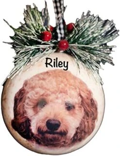 Personalized Beagle First Christmas Ornament 2023 - Decor For Christmas Tree, Bone, Paw, Photo, Family, Frame, Picture For Big Dogs, Puppies, Brindle, Small, Miniature And Beautiful Breeds -Department 56 Shop 51M6fT9H0 L. AC