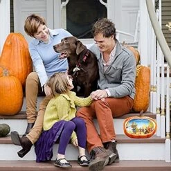 Thanksgiving Decoration Pumpkin, Christmas Snow Globe With Swirling Glitter, Pumpkin Table Accent For Fall Harvest Christmas/Winter Decorations, Thanksgiving Pumpkin Fall Harvest For Home Decor -Department 56 Shop 51NJqJkHEZL