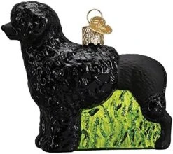 Old World Christmas Ornaments Brittany Spaniel Glass Blown Ornaments For Christmas Tree -Department 56 Shop 51O5hS9Os6L. AC