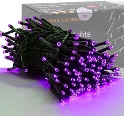 HOME LIGHTING Halloween Lights, 66FT 200 LED Plug In Green Wire String Light, 8 Lighting Modes Waterproof Fairy Mini Lights For Indoor Outdoor Christmas Wedding Party Decorations (Orange & Purple) -Department 56 Shop 51RLQLw JdL. AC