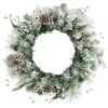 Umart Flocked Christmas Wreath For Front Door, Snowy Mixed Spruce Christmas Wreath, Pine Cones Christmas Wreaths Outdoor, Magnolia Leaf Winter Wreaths For Front Door, 24 Inches Christmas Door Wreath -Department 56 Shop 51SPveXvvCL