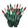 Celebrations Mini Light Set 100 Lights Clear 20' Ul Fuse Ace No. 9802315 -Department 56 Shop 51TDpQ0SPeL