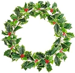 Weather Resistant Holly Candle Ring With Red Berries - Real Touch Artificial Lifelike Holly Candle Ring For Indoor Or Outdoor Christmas Holiday Decoration By Factory Direct Craft (10" Dia) -Department 56 Shop 51UAAQK4XNL. AC