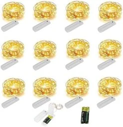YJFWAL 24 Packs Fairy Lights Battery Operated(Batteries Included),10.2FT 30LEDs Copper Wire Firefly Lights,Mini Starry String Lights For Mason Jars Wedding Party DIY Christmas Decor (Cool White) -Department 56 Shop 51VUaw9YMRL. AC 1