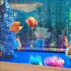 TDLTEK Waterproof Submersible Led Lights Tea Lights For Wedding, Party, Decoration (12 Pieces, Clear White) -Department 56 Shop 51WDZRK7s8L