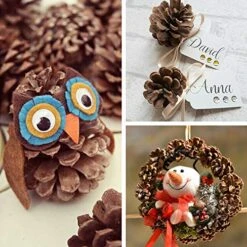 Supla 30 Pcs Christmas Hanging Real Preserved Pine Cones Ornaments 2"-3" Tall Christmas Tree Hanging Pinecone Ornaments -Department 56 Shop 51WMtJ8qrpL