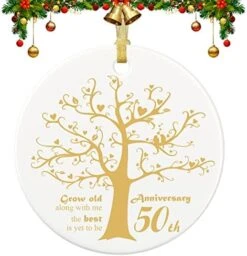 25 Years Anniversary Ornament, 2023 Christmas Hanging Ornament, 25th Years Couple Gifts For Wedding Anniversary, 25thHusband&Wife Married Decoration, 2023 Couple Christmas Ceramic Ornament With Ribbon -Department 56 Shop 51ZVjGsZtRL. AC