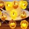 Thanksgiving Turkey Lights Decorative Cute Fall Orange String Lights 20 LEDs 8ft Battery Powered With Remote For Bedroom Table Harvest Window Autumn Wedding Decoration -Department 56 Shop 51amwdYUEPL